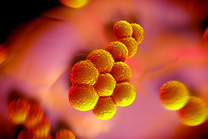 Rychlé snížení výskytu Staphylococcus aureus u pacientů s atopickou dermatitidou po léčbě dupilumabem
