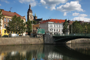 XLI. sjezd českých a slovenských alergologů a klinických imunologů: Komentáře účastníků